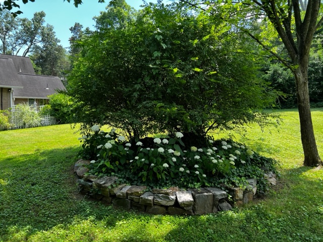 910 Junior Street Alexandria, VA 22301 - Photo 9 of 16