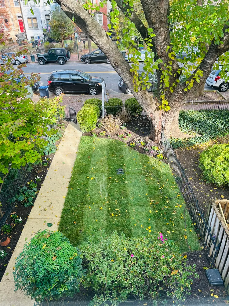 $829,000 | 1019 South Carolina Avenue Southeast, Washington, DC 20003