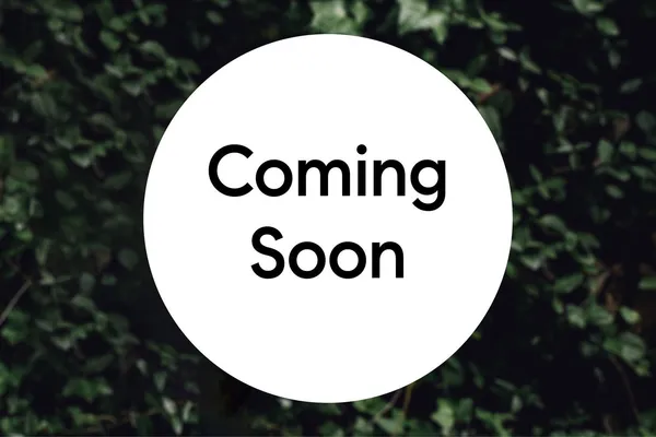 a view of wooden floor