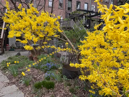 $15,000 | 175 Garfield Place, Unit 2 | Park Slope