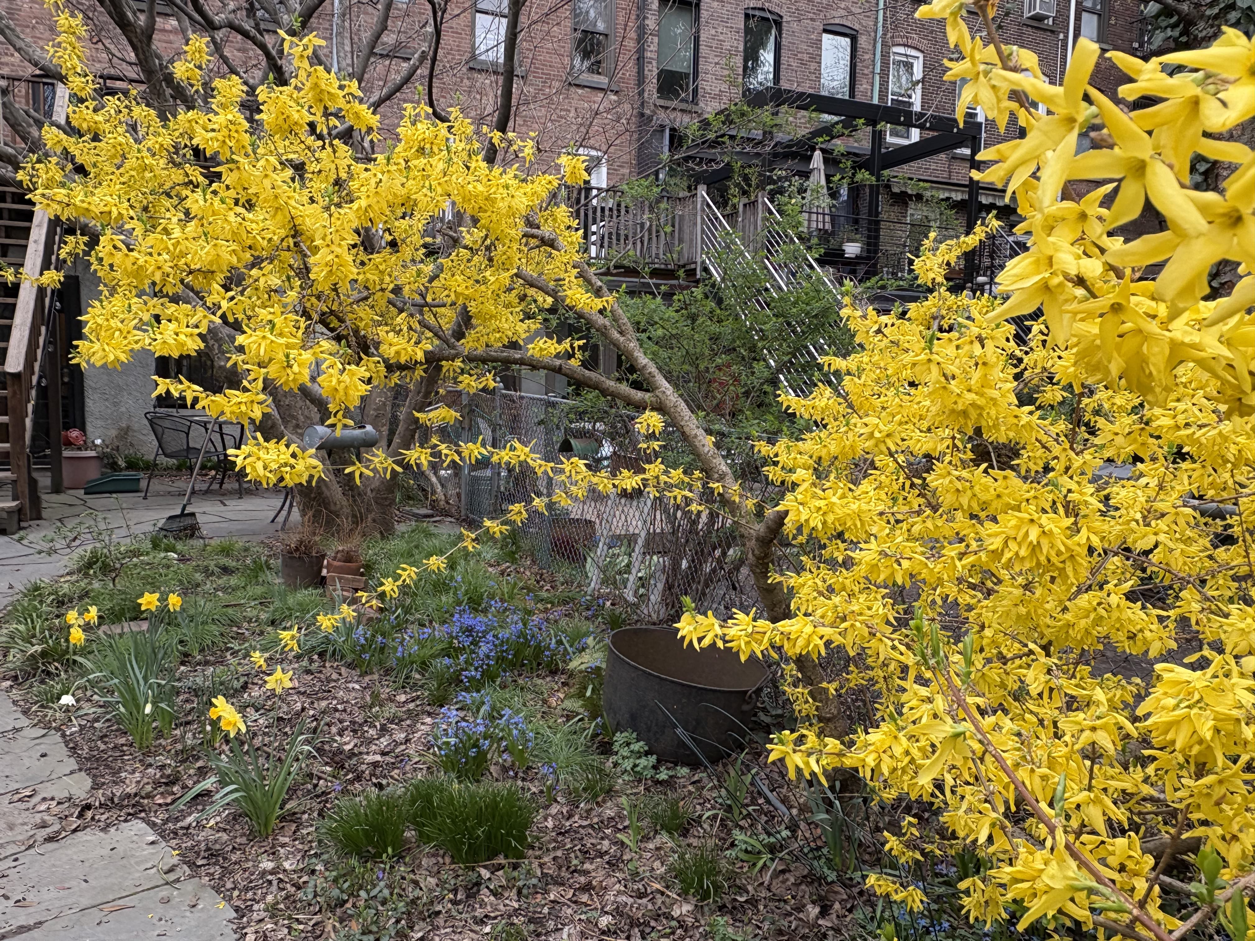 175 Garfield Place, Unit 2 Brooklyn, NY 11215 - Photo 16 of 16