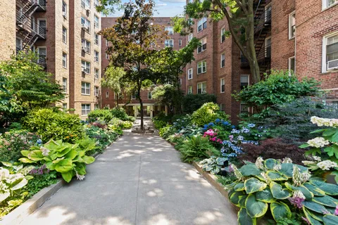 a plant is in front of the house