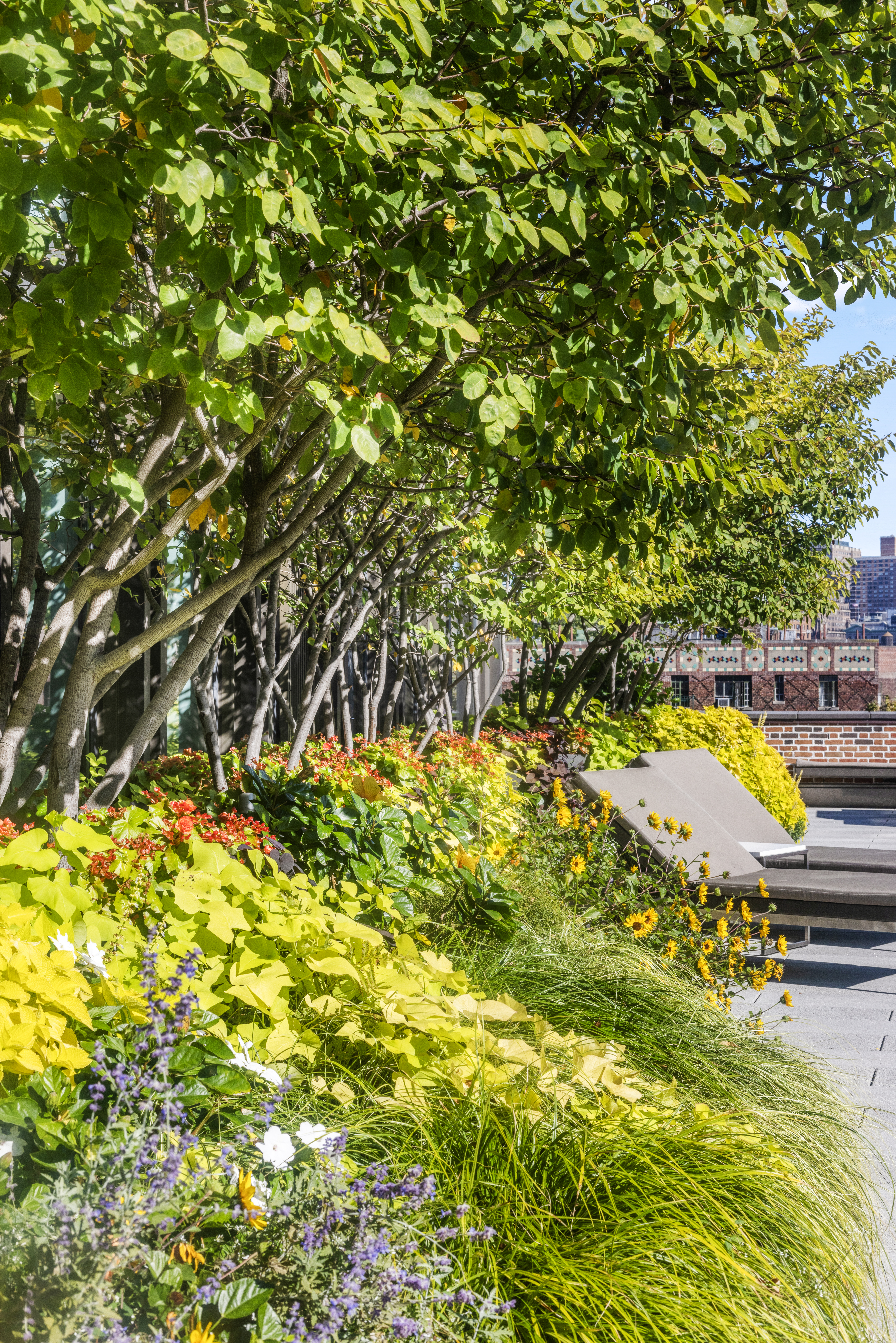 100 Barrow Street, Unit 7/8A Manhattan, NY 10014 - Photo 11 of 23 a view of swimming pool with a lawn chairs and wooden fence