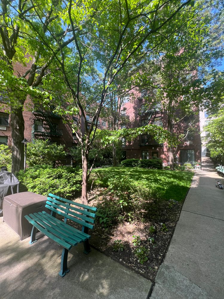a view of a bench in a garden