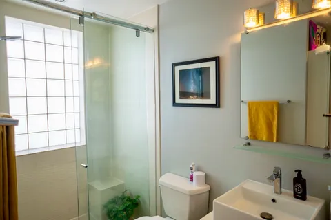 a bathroom with a shower and a toilet