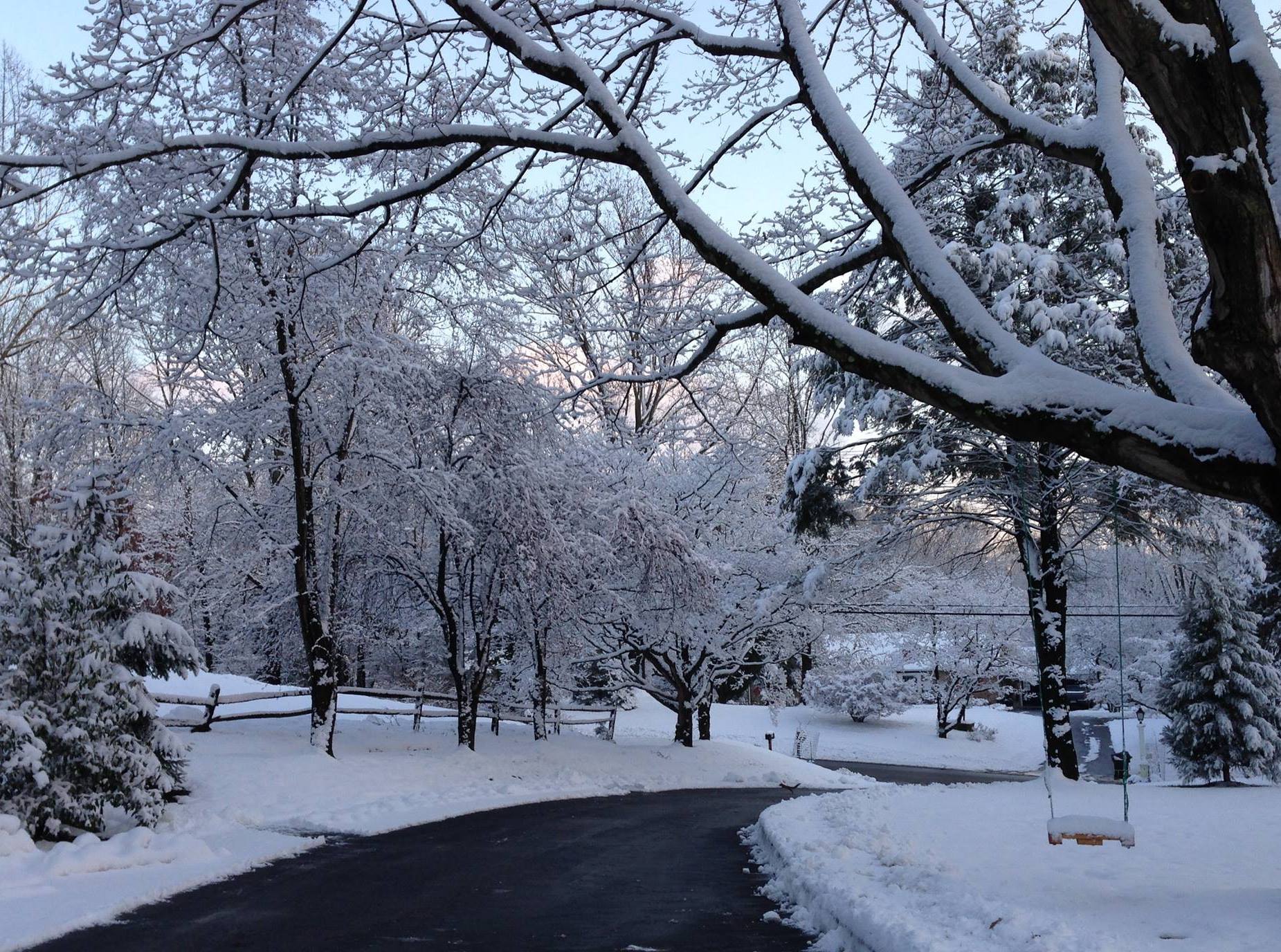 431 Sycamore Mills Road Media, PA 19063 - Photo 56 of 56