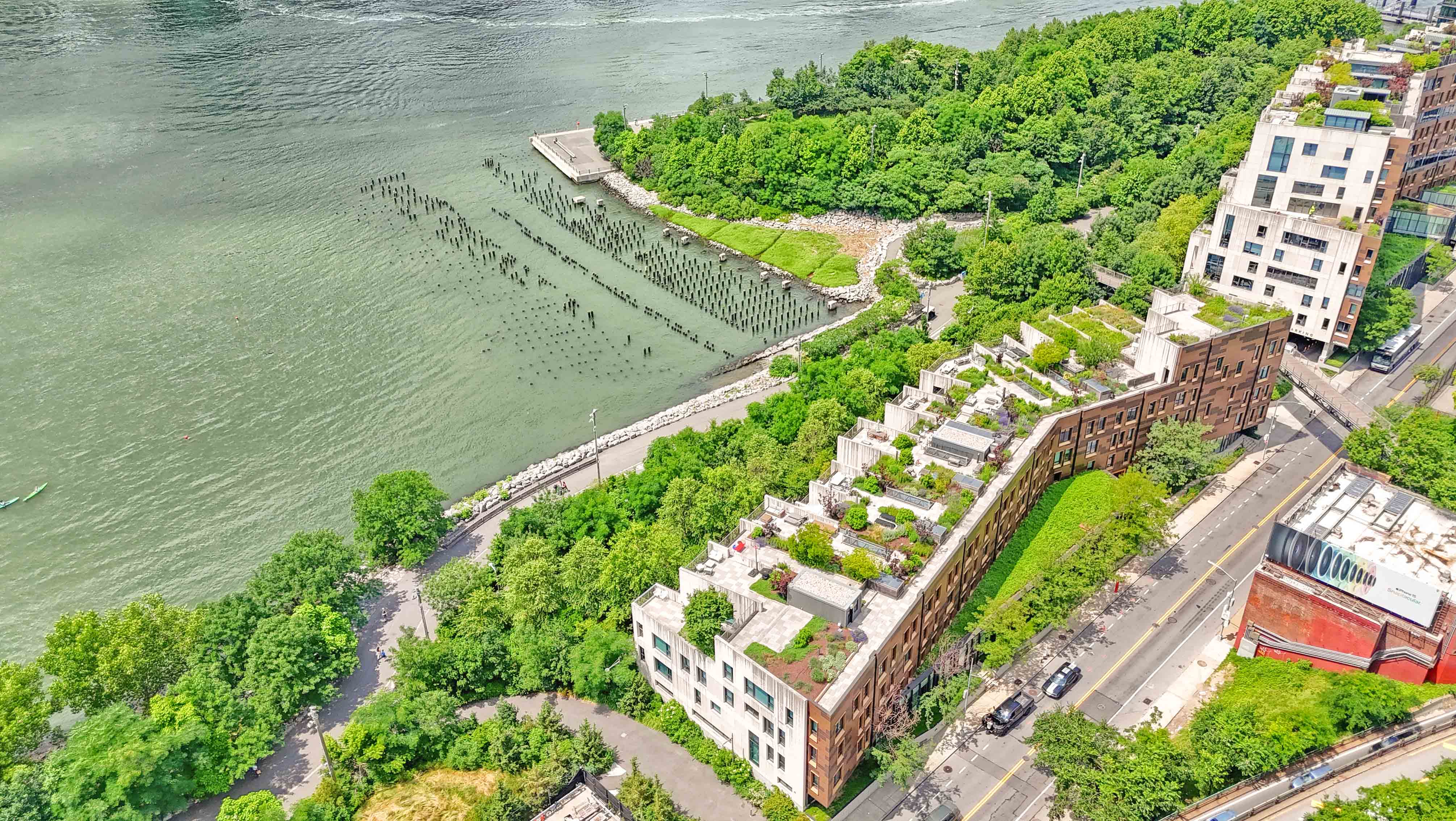 57 Montague Street, Unit 1D Brooklyn, NY 11201 - Photo 21 of 27 a view of a yard with plants