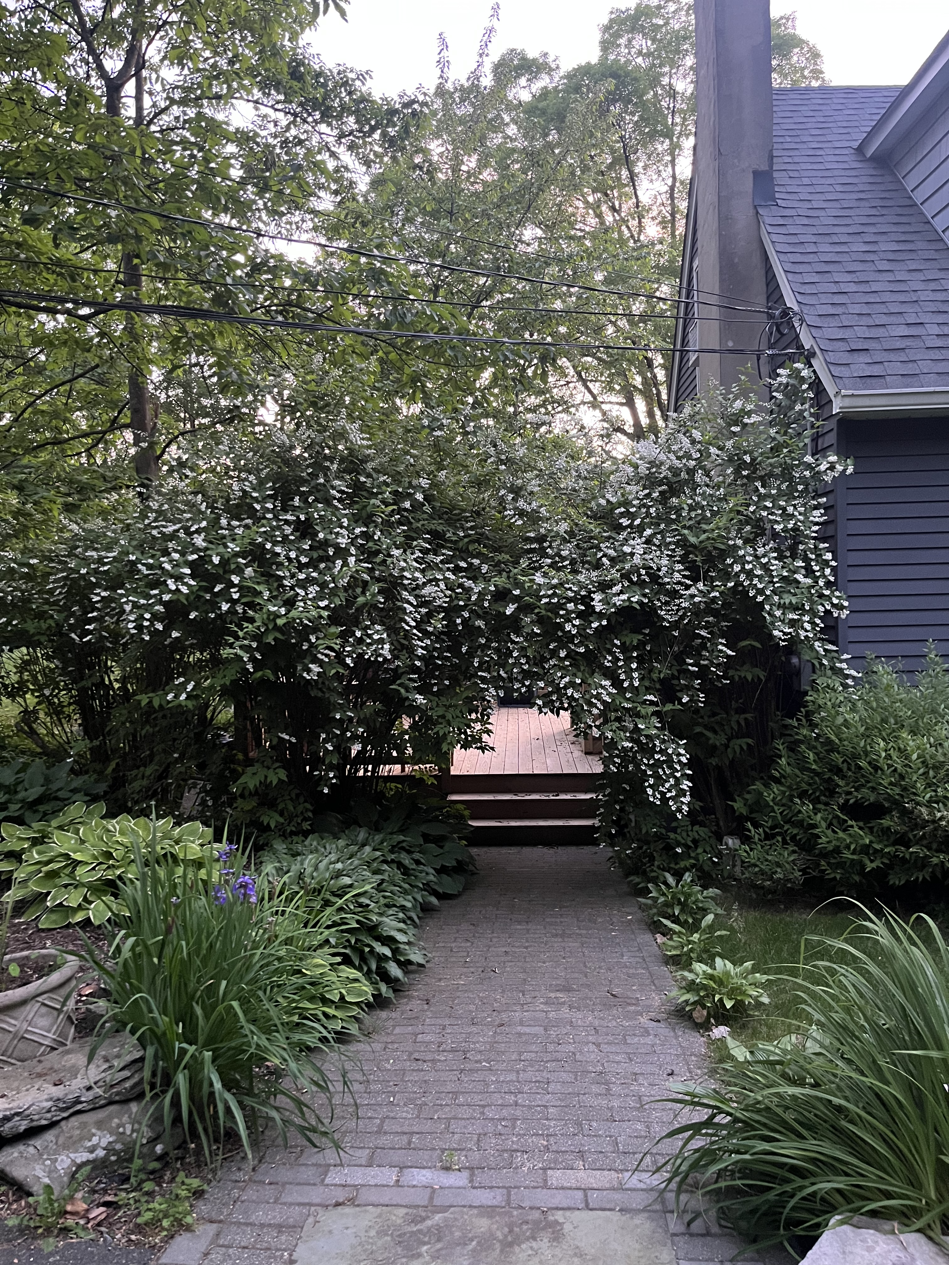 92 Ridge Road Branchville, NJ 07826 - Photo 4 of 29 Gallery Image 4