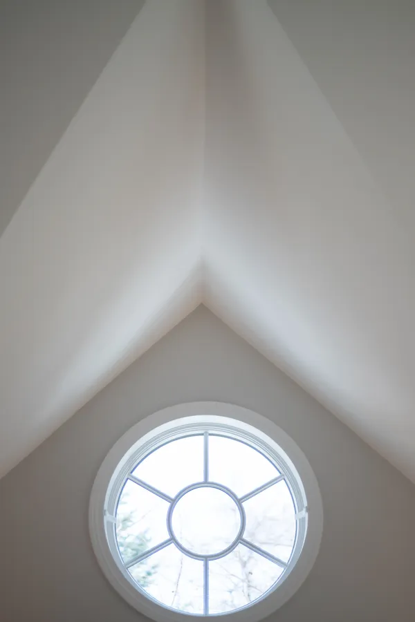a living room with wooden floor and a potted plant