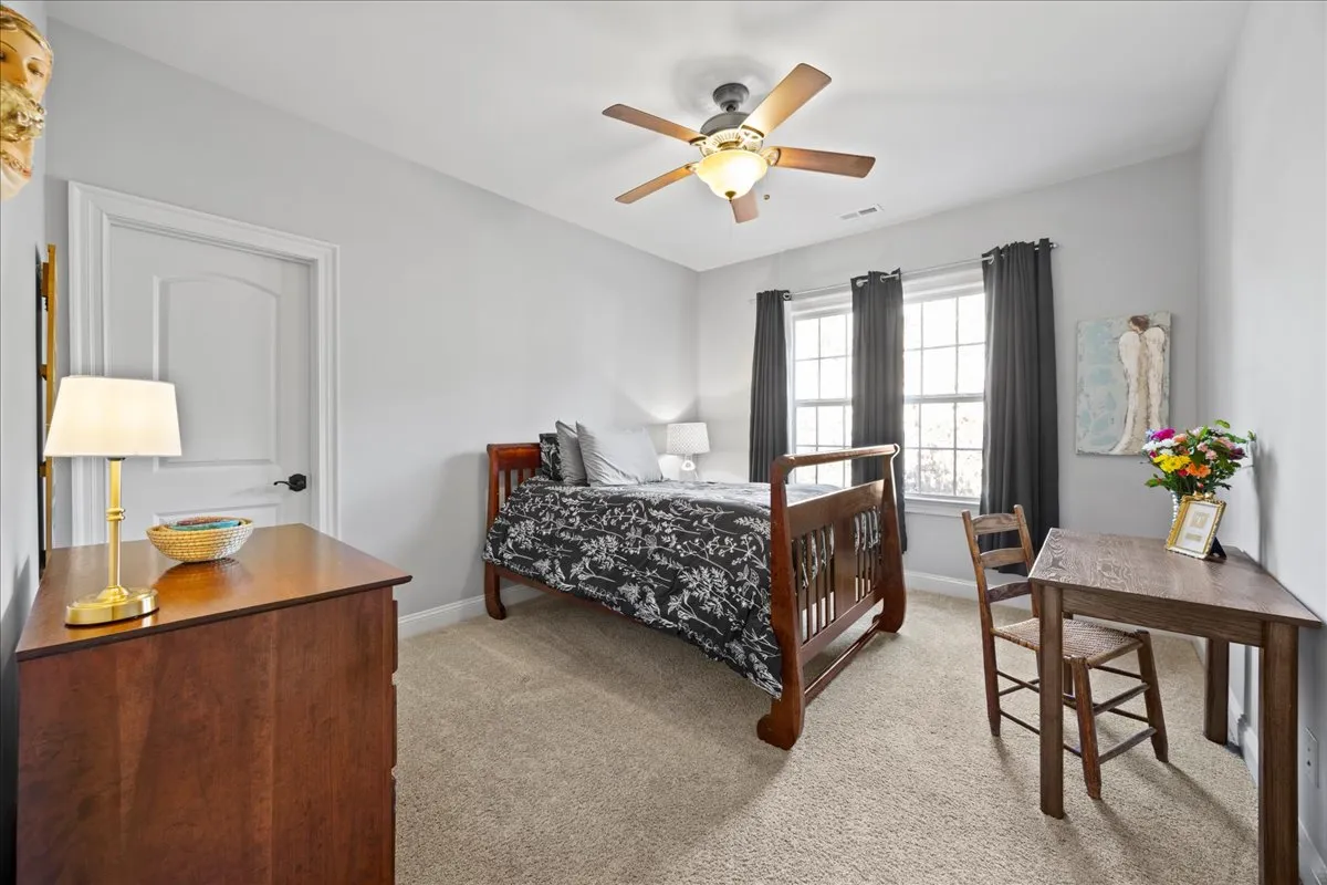 a view of street with large trees