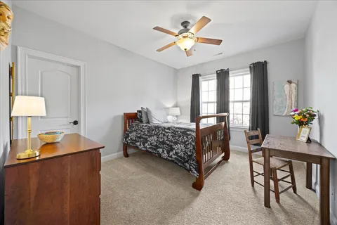 a view of street with large trees