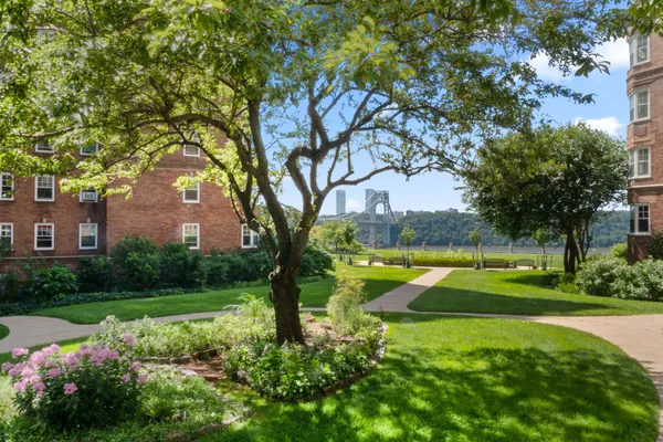 a view of a backyard with large trees