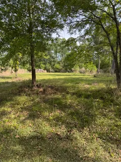$15,000 | Lake Forest Drive, Livingston, TX 77351