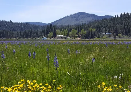 $11,500,000 | 521 Campbell Hot Springs Road, Sierraville, CA 96126
