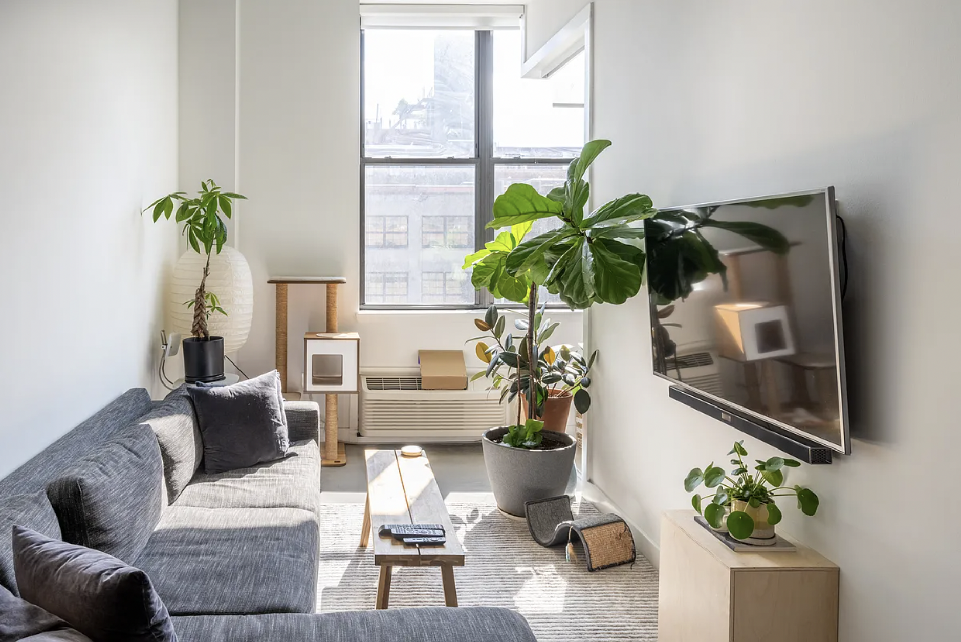 44 Berry Street, Unit 5E Brooklyn, NY 11249 - Photo 1 of 9 a living room with furniture and a potted plant