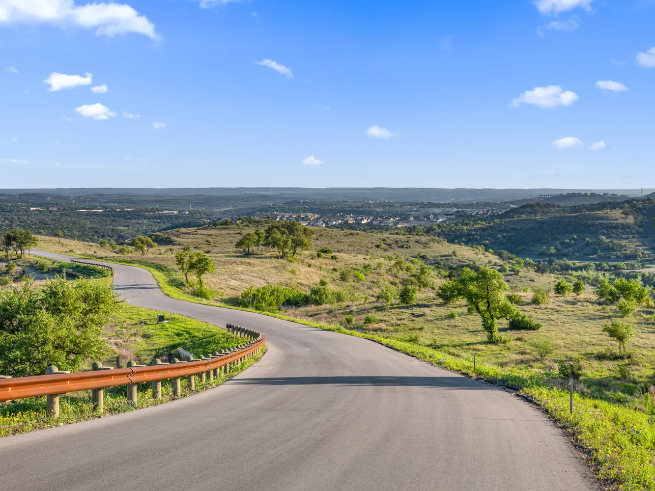 a view of a bunch of trees and bushes