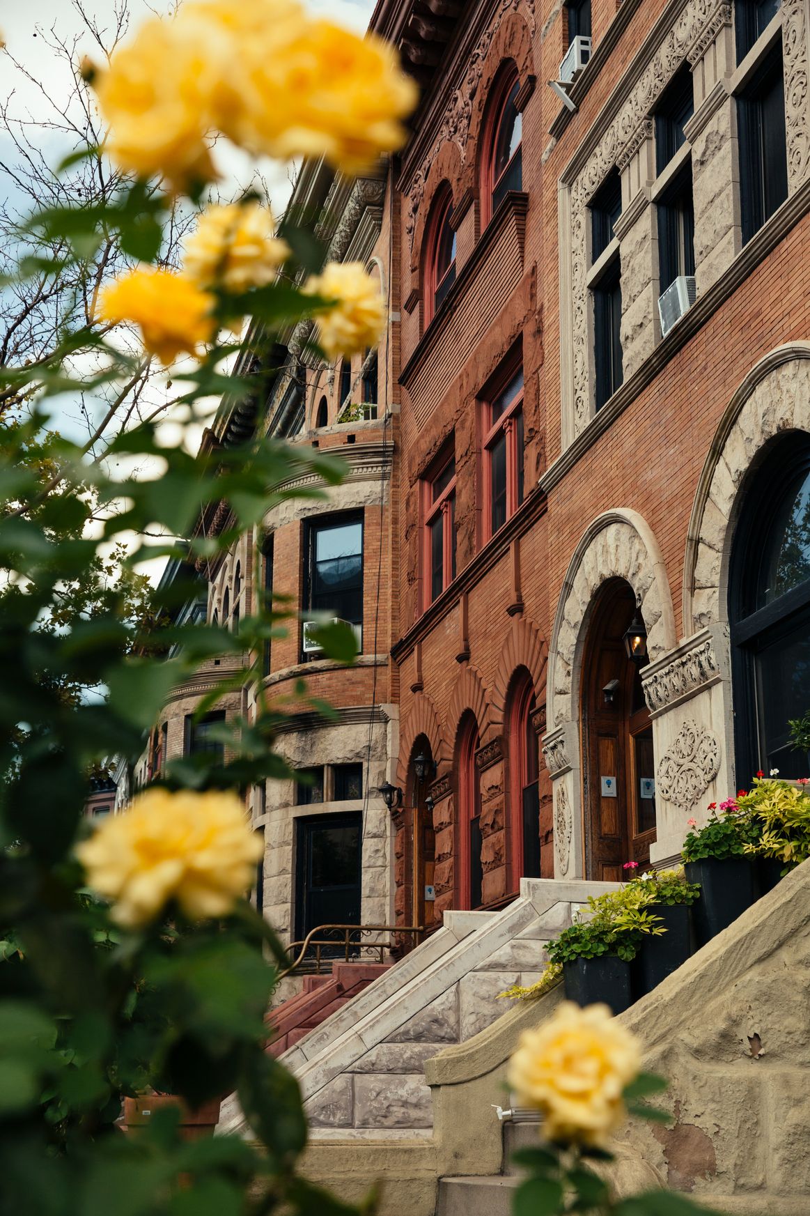 14 Hampton Place Brooklyn, NY 11213 - Photo 2 of 12 a view of a building with a yard
