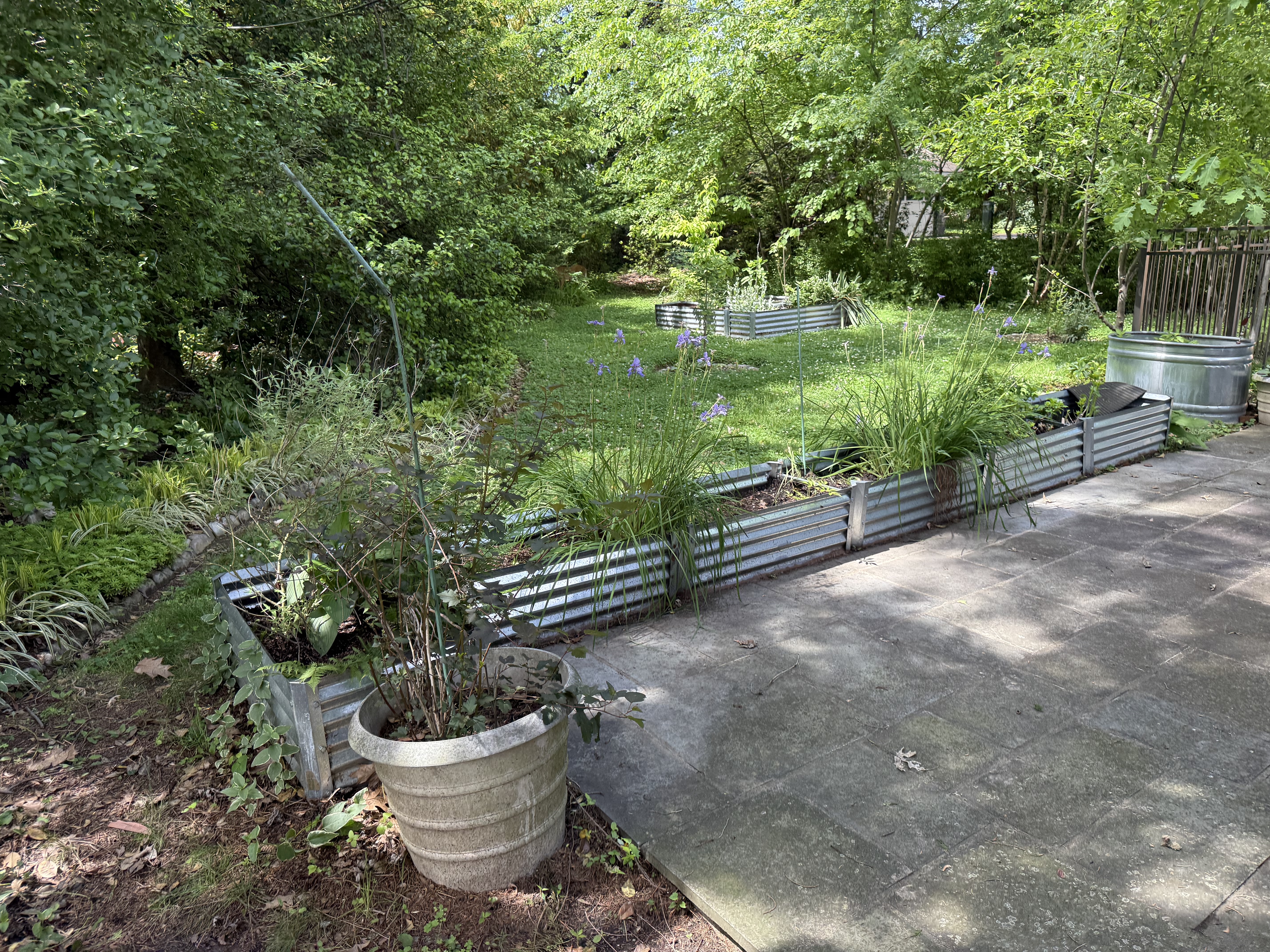 307 Roumfort Road Philadelphia, PA 19119 - Photo 2 of 3