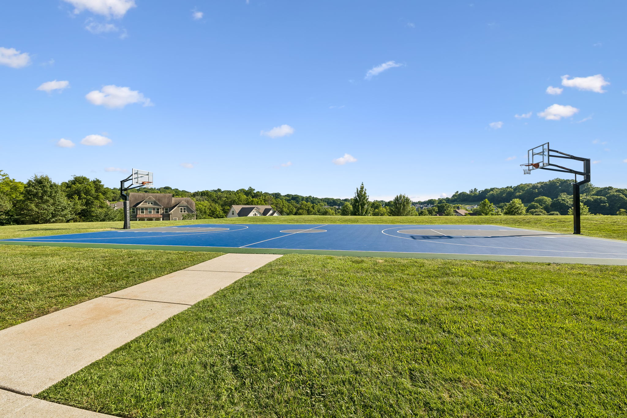 6732 Falls Ridge Lane College Grove, TN 37046 - Photo 81 of 87