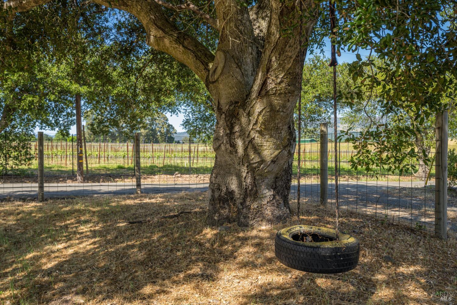 18320-18330 Carriger Road Sonoma, CA 95476 - Photo 19 of 46