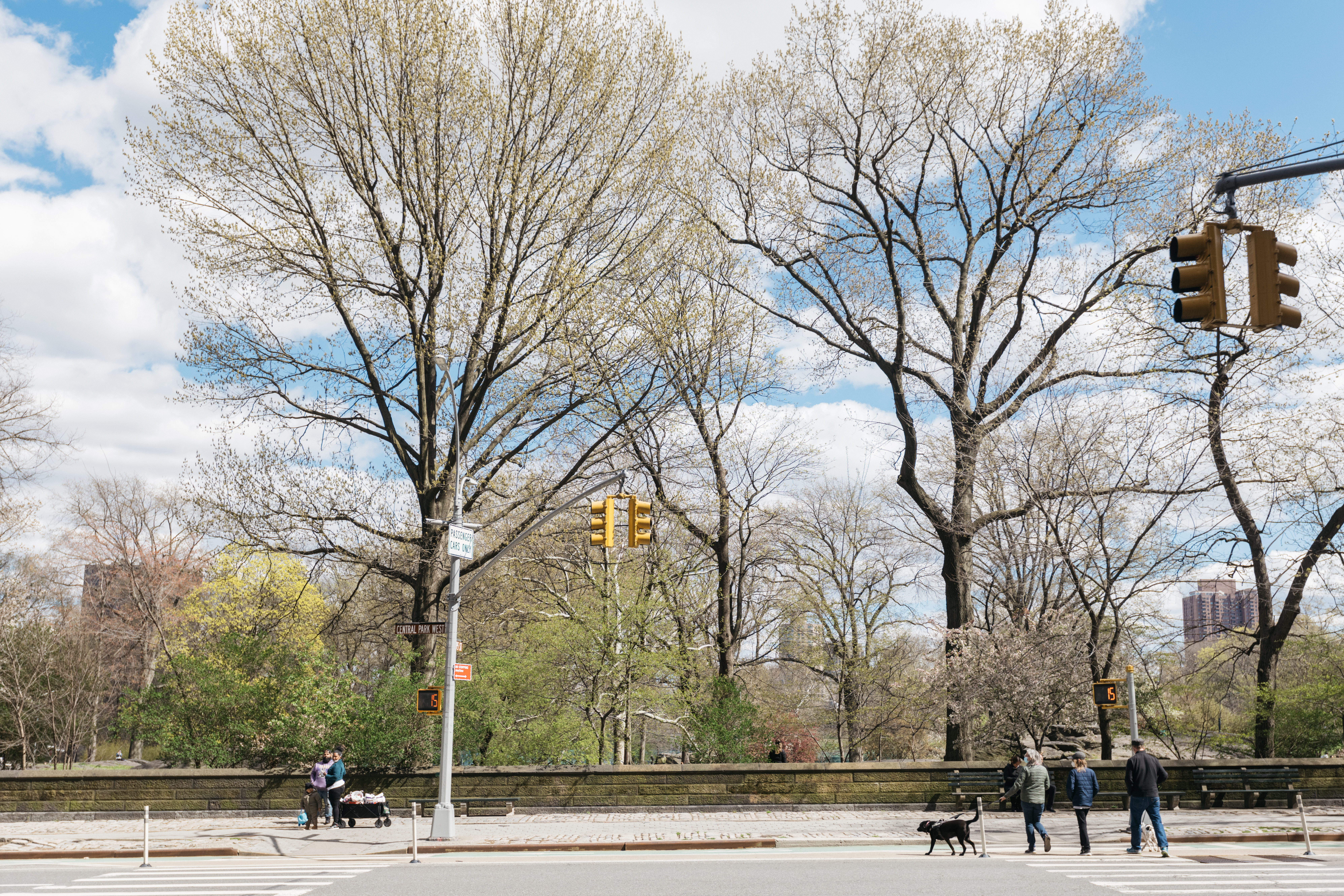 39 West 95th Street Manhattan, NY 10025 - Photo 24 of 27