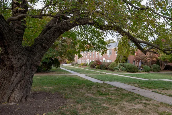 Contact Agent | 6 Ashby Street, Unit Undisclosed, Alexandria, VA 22305