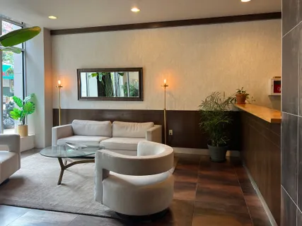 a living room with furniture and a potted plant
