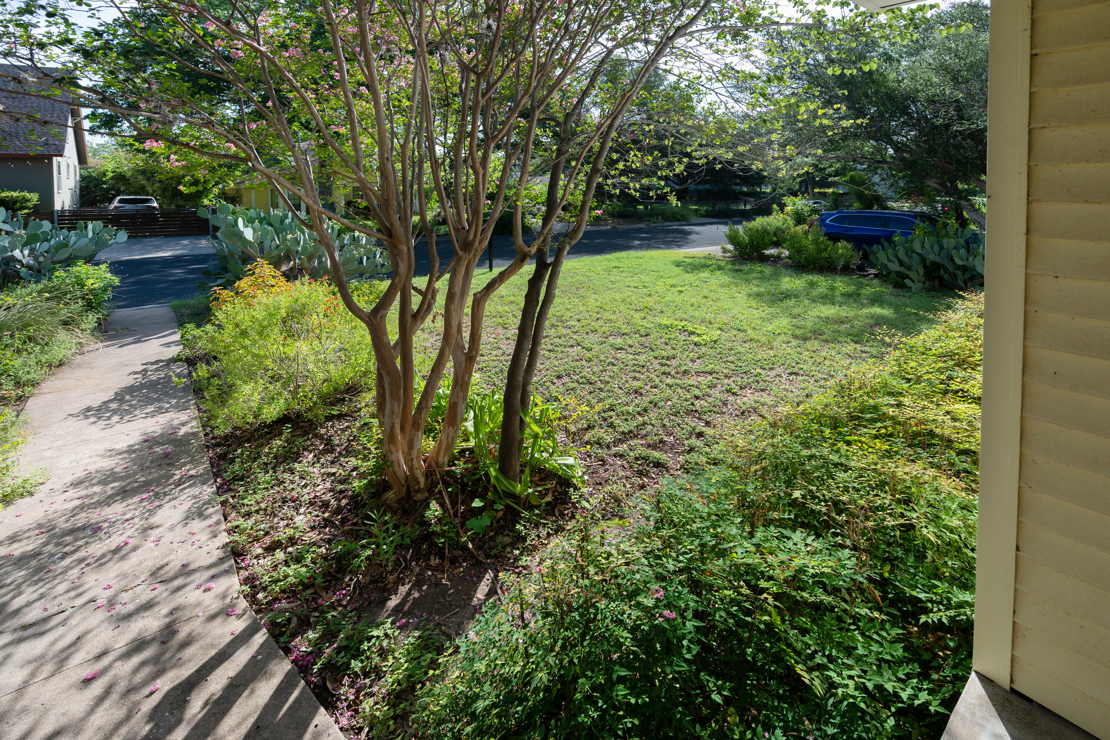 2107 Rabb Glen Street Austin, TX 78704 - Photo 29 of 30