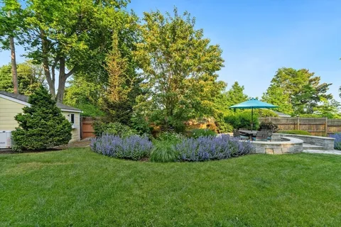 a view of a backyard with plants and a table and chair