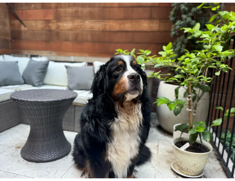 $13,500 | 267 West 71st Street, Unit 1R | Upper West Side