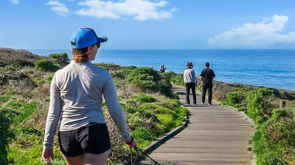 North Green Valley Road Cambria, CA 93428 - Photo 19 of 25