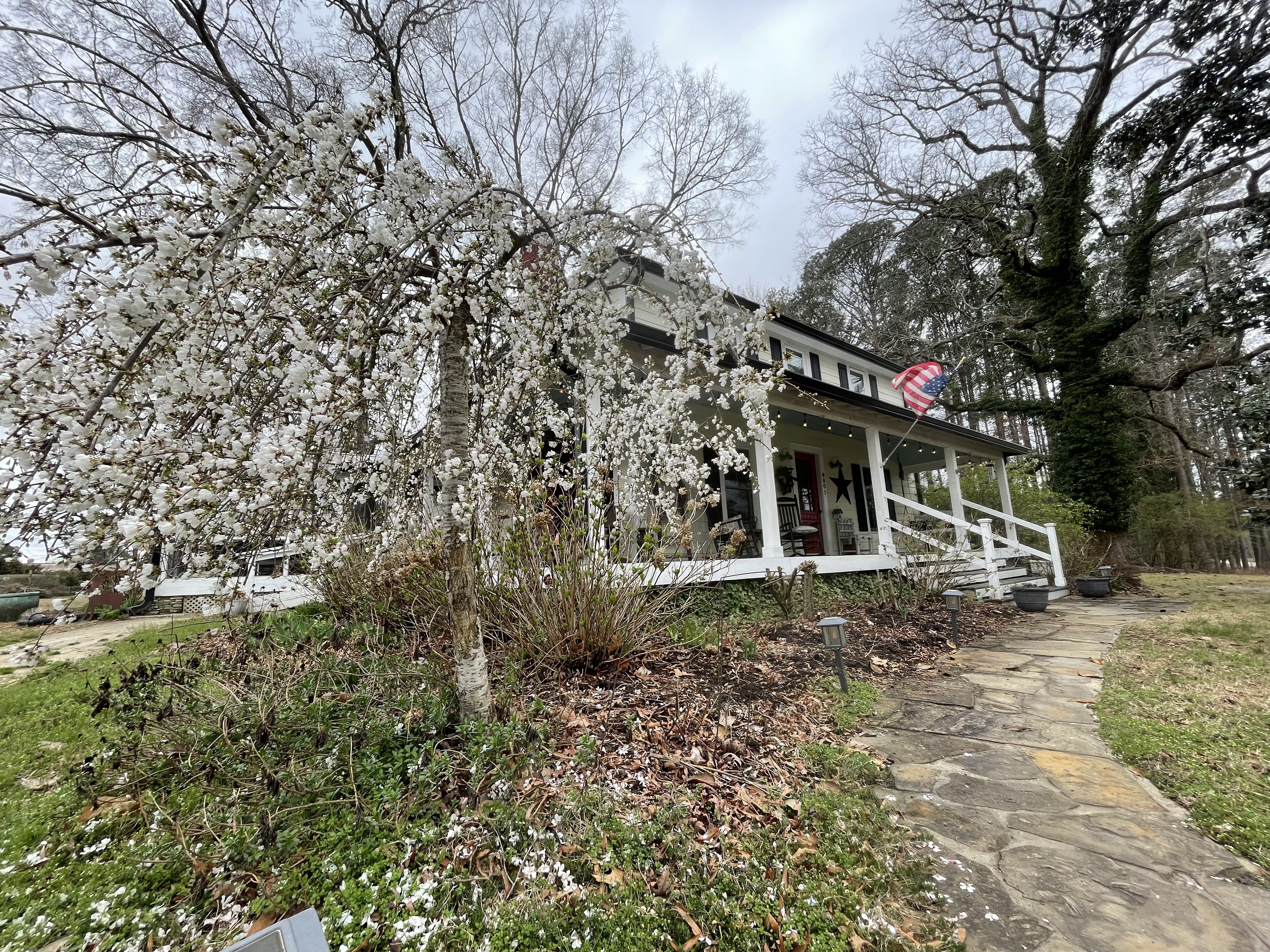 8801 Castleberry Road Apex, NC 27523 - Photo 2 of 19
