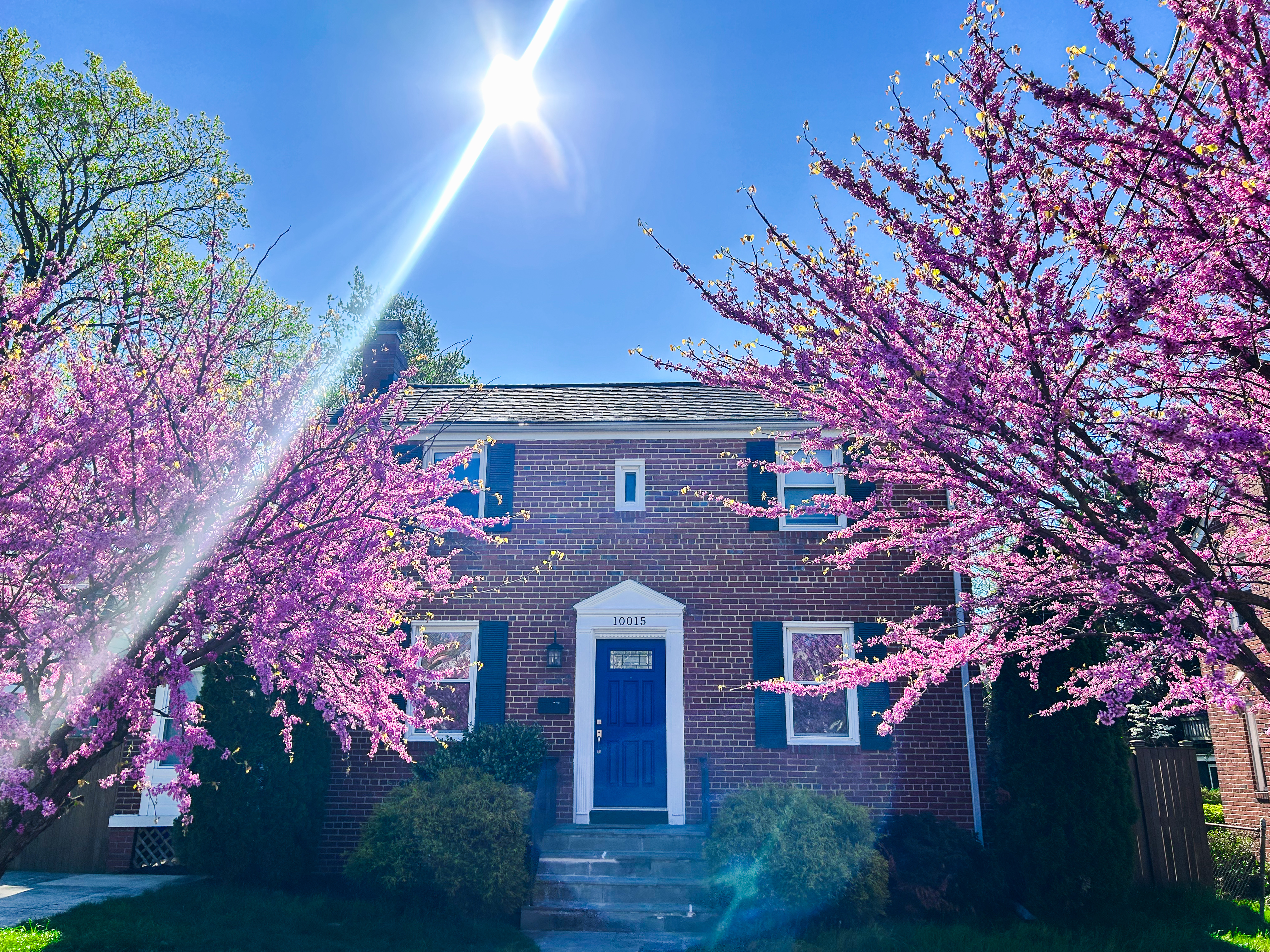 10015 Markham Street Silver Spring, MD 20901 - Photo 8 of 9