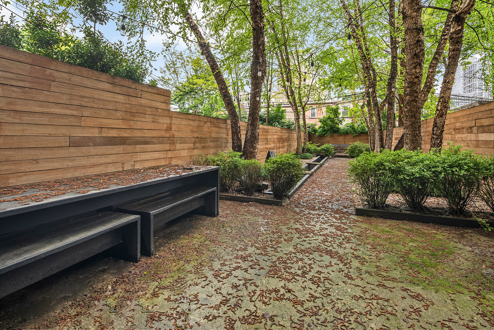 175 Saint Marks Avenue Brooklyn, NY 11238 - Photo 7 of 19