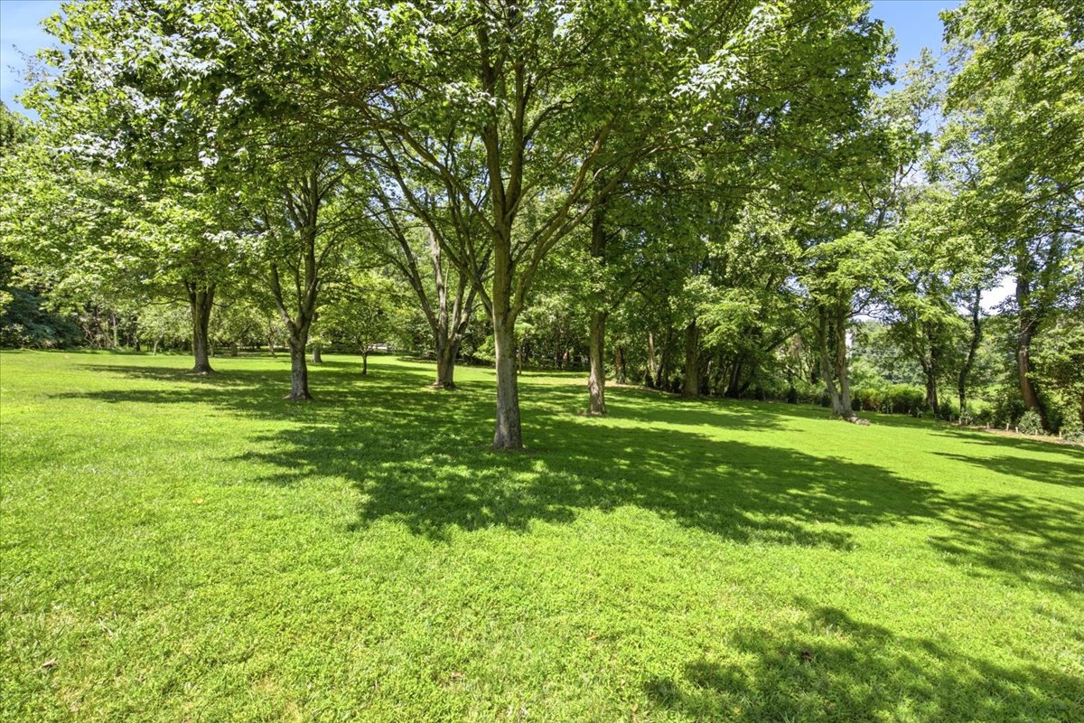 12650 Rolling Road Potomac, MD 20854 - Photo 70 of 74