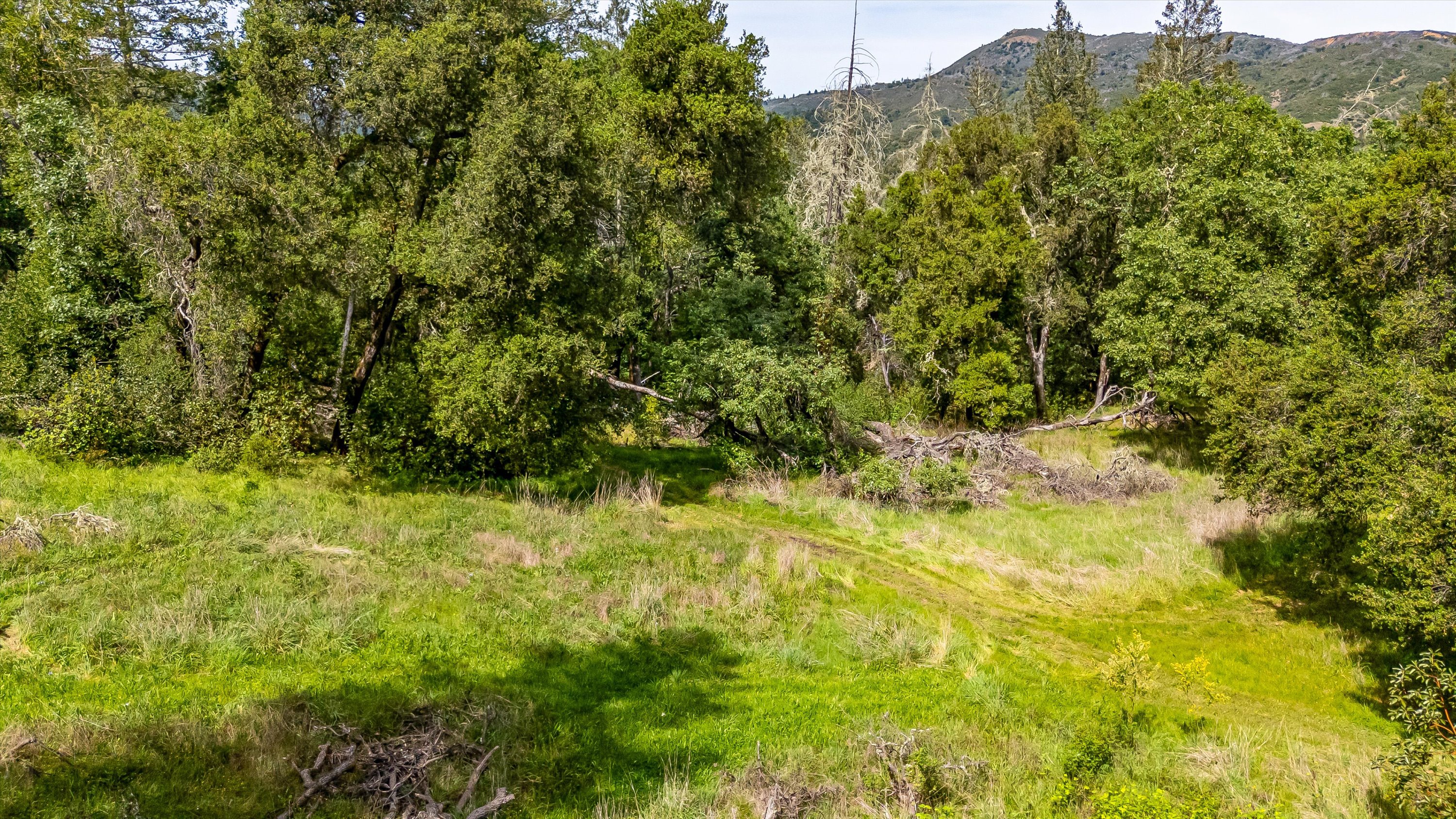 6435 Dry Creek Road Napa, CA 94558 - Photo 29 of 34