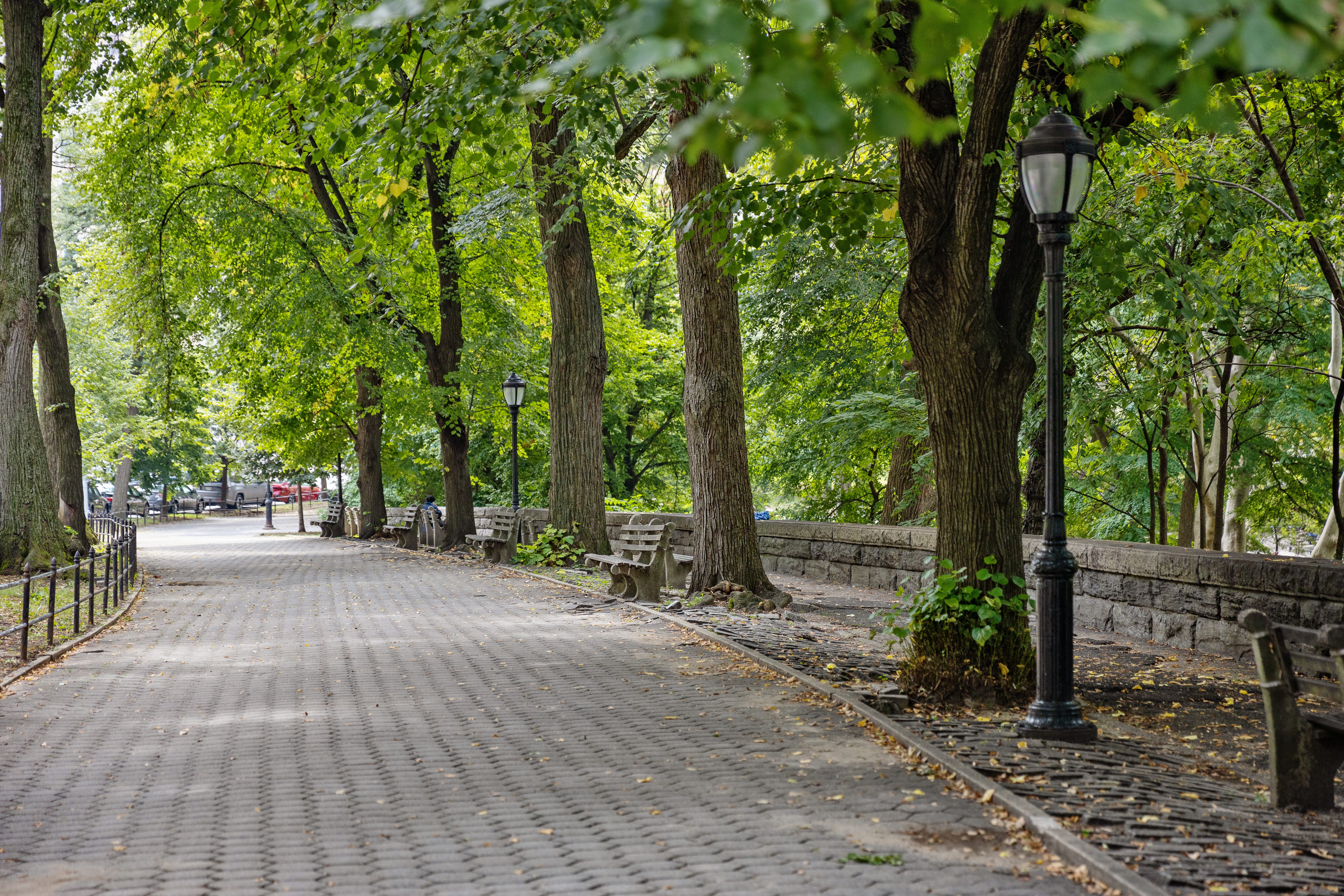 310 West 99th Street, Unit 308 Manhattan, NY 10025 - Photo 9 of 10 a wooden bench with trees in the background