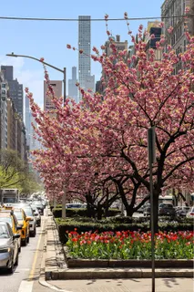 $5,600,000 | 876 Park Avenue, Unit 9N | Upper East Side