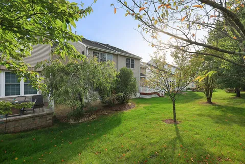 a backyard of a house with plants and large tree