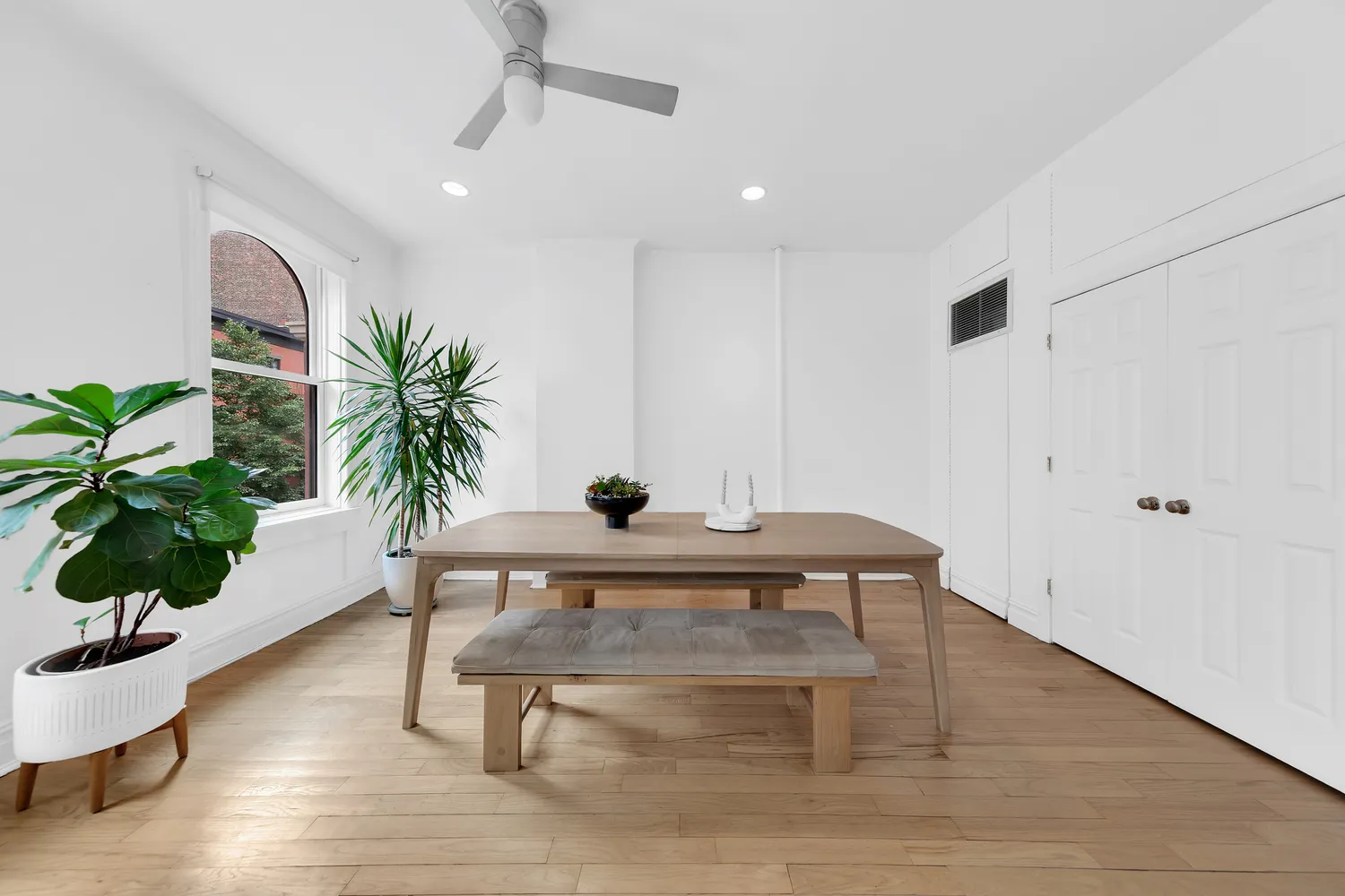 a living room with furniture and a potted plant