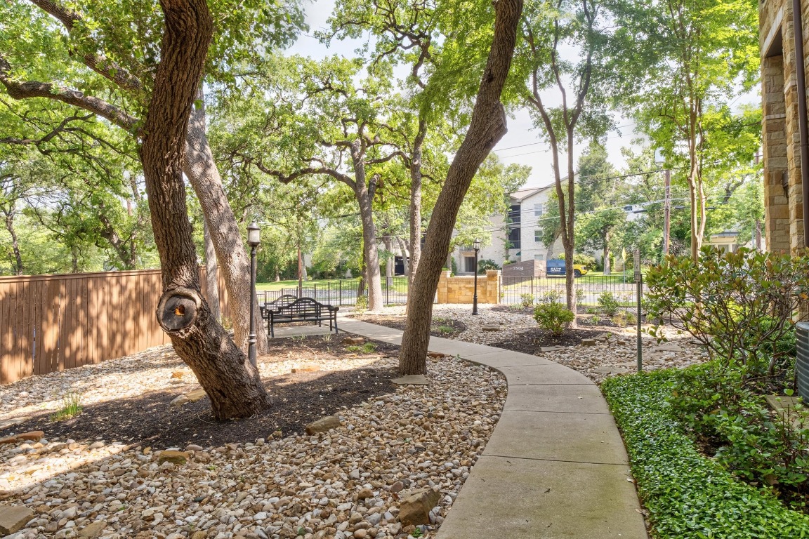 2505 Enfield Road, Unit 4 Austin, TX 78703 - Photo 18 of 19 a view of a backyard with large trees and wooden fence
