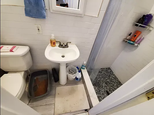 441 63rd Street, Unit 1R Brooklyn, NY 11220 - Photo 10 of 10