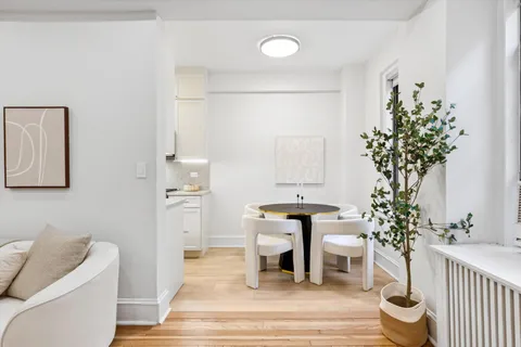 a living room with furniture and a potted plant
