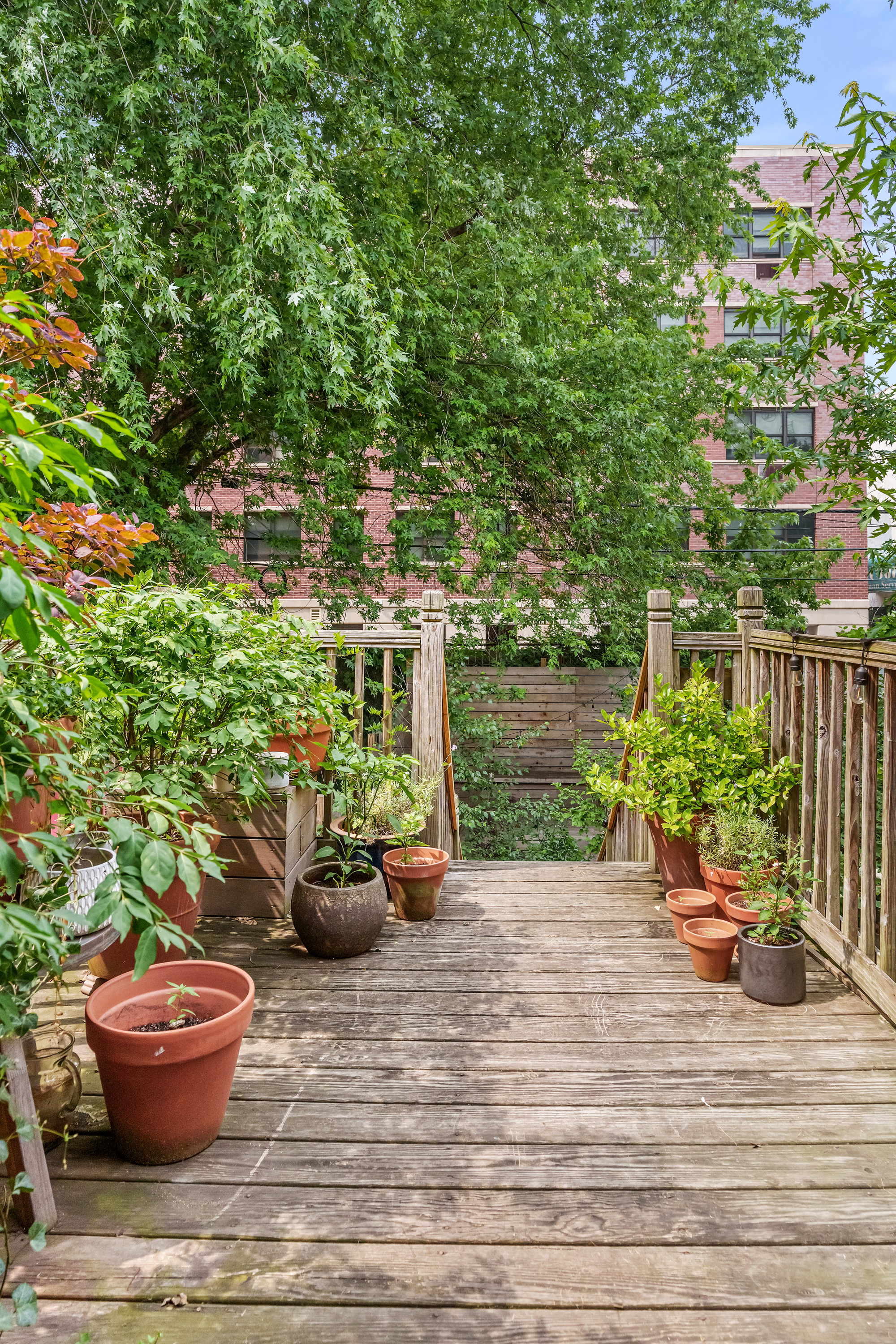 315 Monroe Street Brooklyn, NY 11216 - Photo 11 of 17