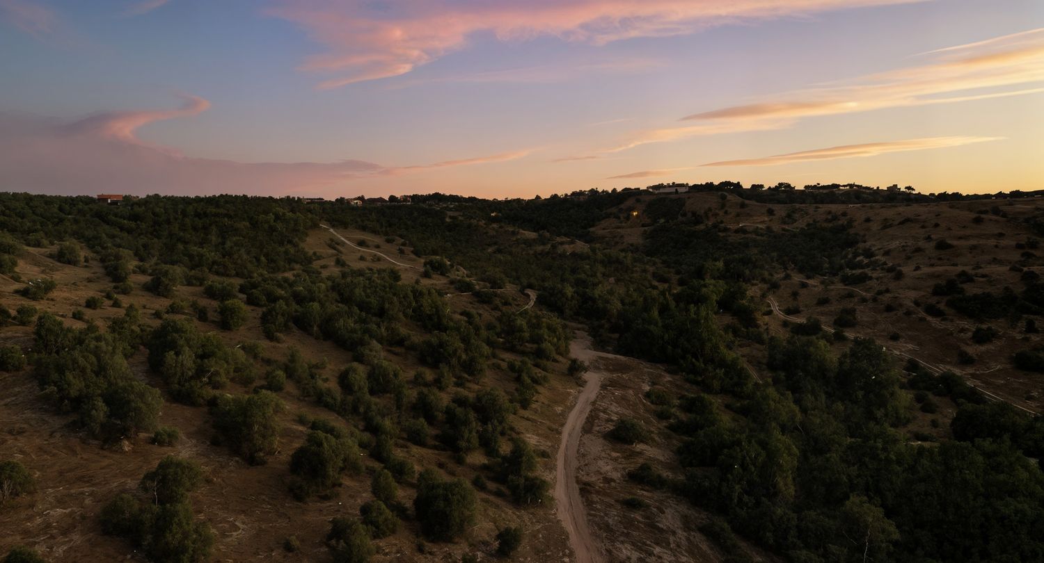 a view of city and mountain