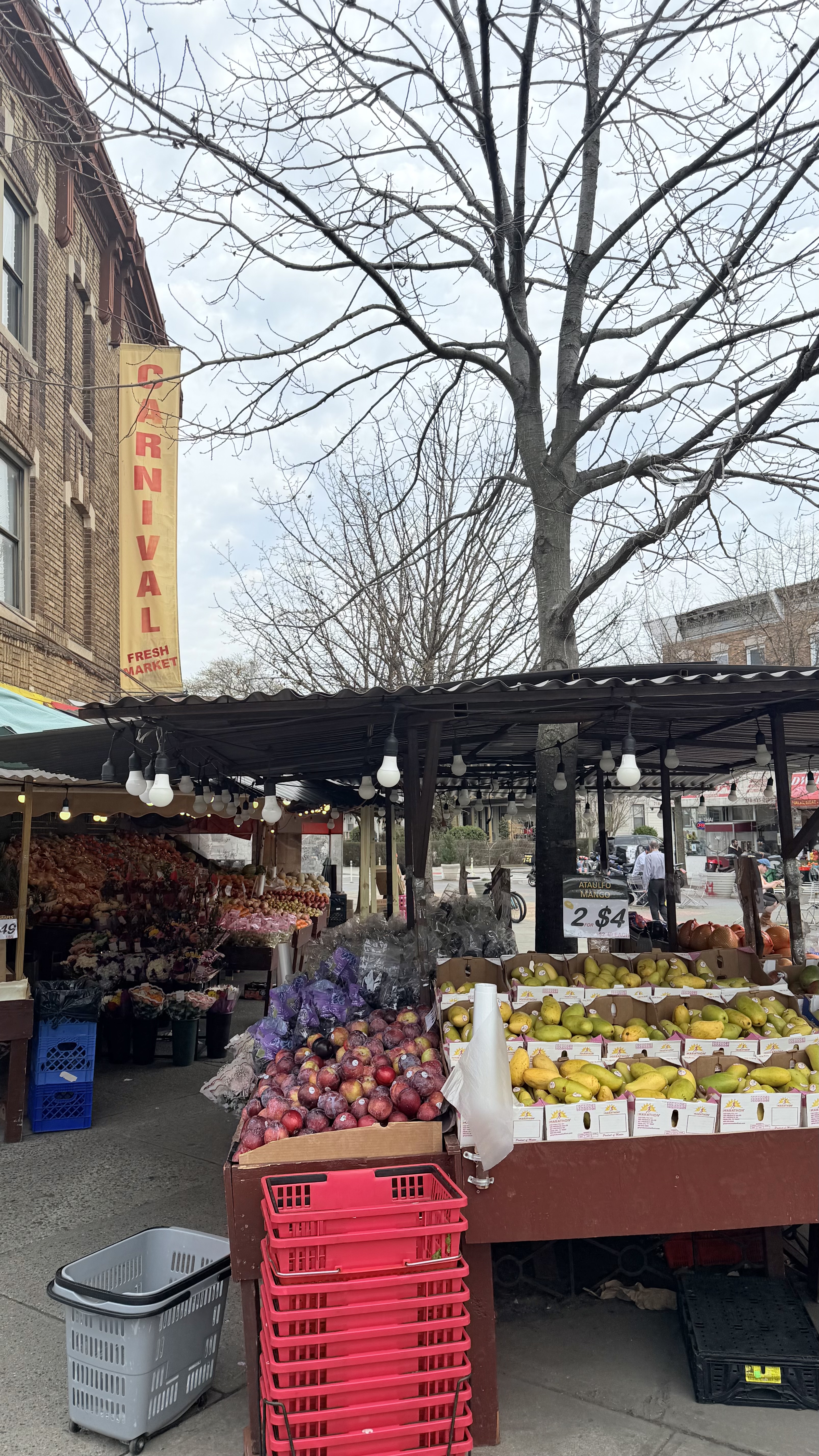 103 Dahill Road, Unit 1 Brooklyn, NY 11218 - Photo 11 of 13