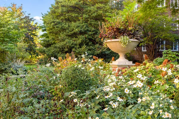 a view of a house with a tree