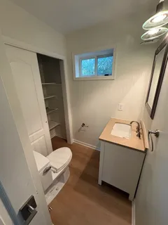 a bathroom with a sink and a toilet