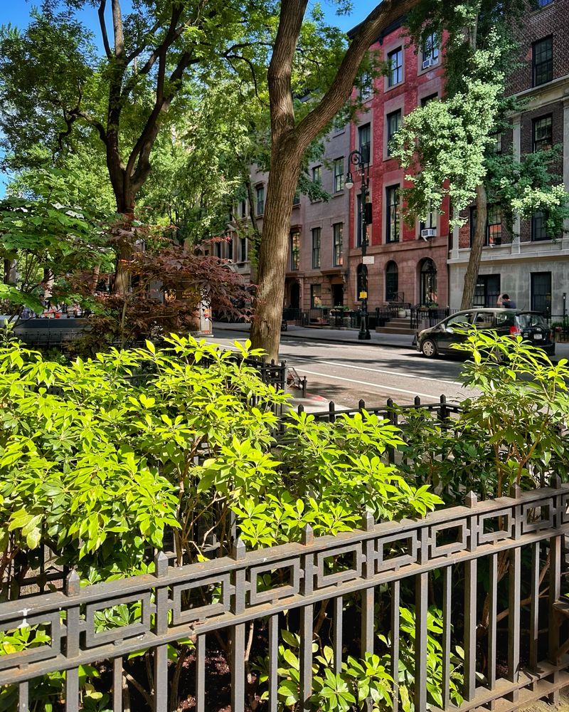 30-32 West 9th Street, Unit 5A Manhattan, NY 10011 - Photo 16 of 18 a view of a yard with plants