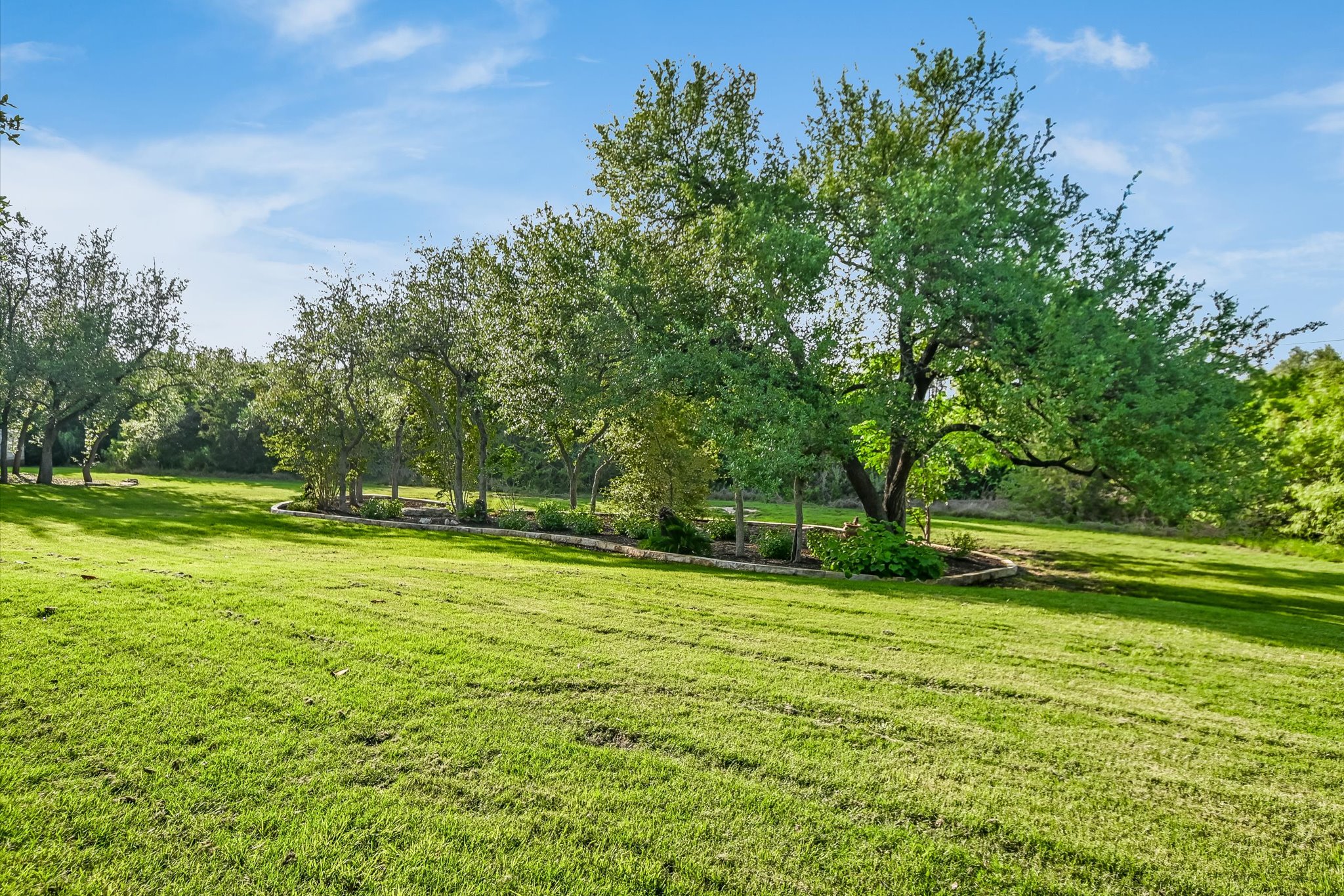 1422 Palomino Ridge Drive Austin, TX 78733 - Photo 55 of 60 a view of a grassy field with trees